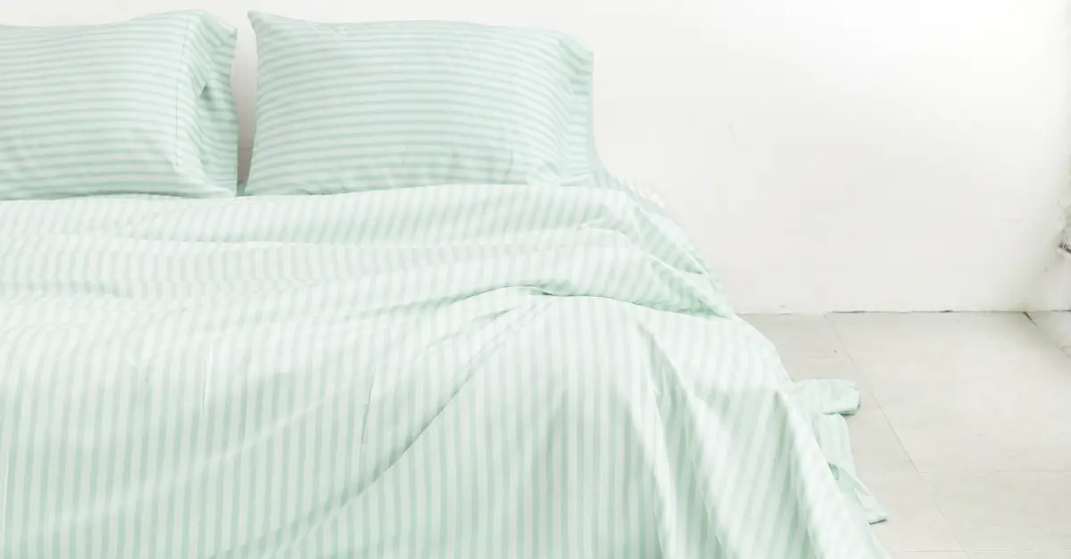 sheet nest where in vietnam image 2